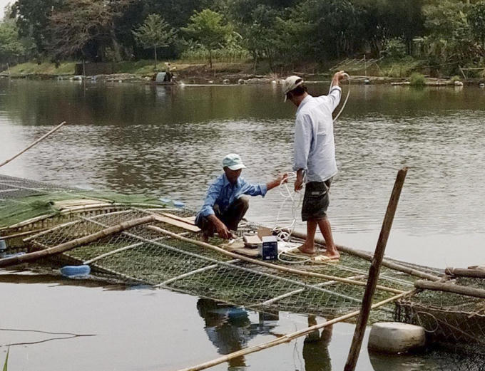 Hiện người dân phải lắp hệ thống sục khí, tăng ôxi cho cá, hy vọng giảm bớt thiệt hại.