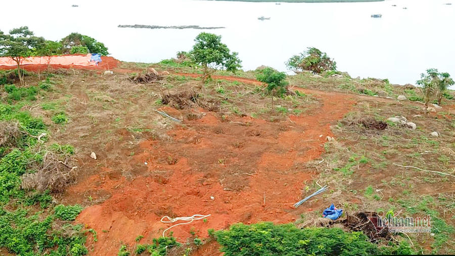 Đảo Đầu Sơn bị cạo trọc