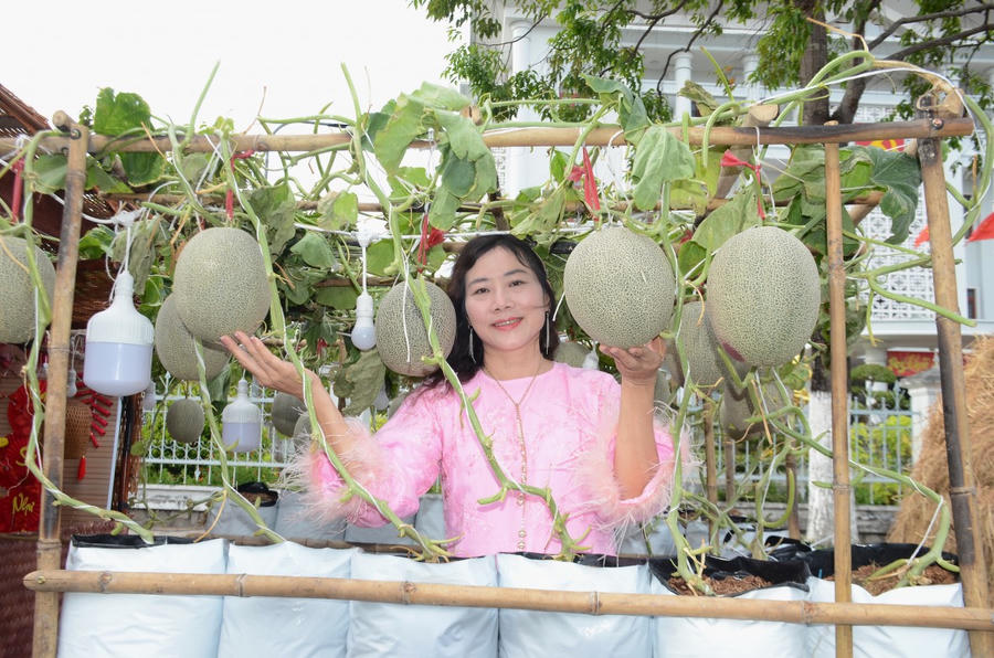 Du khách check-in tại vườn dưa lưới, điểm nhấn trải nghiệm nông nghiệp đô thị.