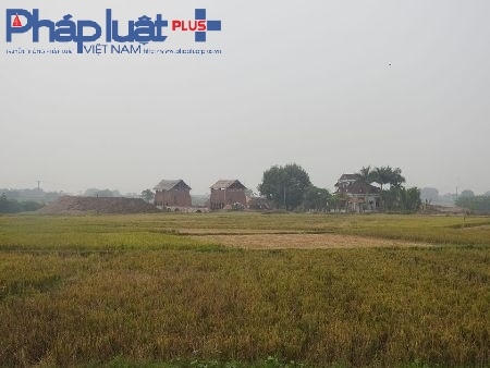 Ngoài lò gạch và xây nhà trên đất nông nghiệp, gia đình ông Tráng còn mua 3 3 ha đất quỹ I của các hộ dân liền kề