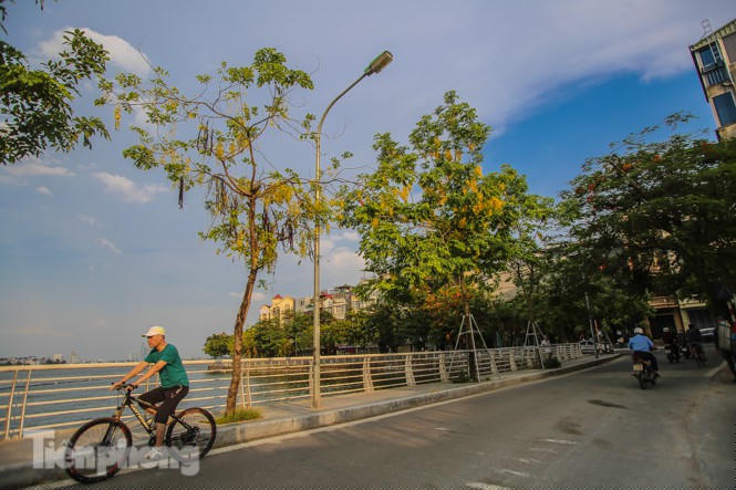 Những phố hoa Hà Nội làm xao xuyến lòng người - ảnh 12