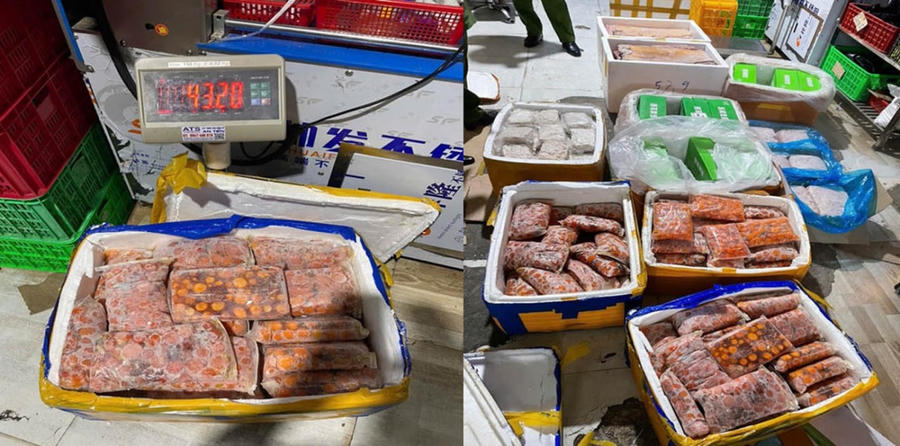 Các hành vi vi phạm an toàn thực phẩm đã len lỏi vào kho chứa, chuỗi phân phối. (Nguồn: Công an tỉnh Lâm Đồng)