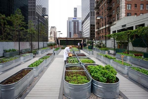 Khu vườn rau xanh tr&ecirc;n n&oacute;c nh&agrave; thuộc sở hữu của nh&agrave; h&agrave;ng Jonathan Club Pastry. N&oacute; đ&atilde; mang lại cho nh&agrave; h&agrave;ng khoản thu hơn 100.000 USD (tương đương 2,1 tỷ đồng) từ tiền b&aacute;n rau xanh.