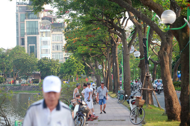 Phượng khoe sắc đỏ, Hà Nội bỗng đẹp như tranh vẽ - Ảnh 15.