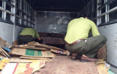 Lực lượng chức năng đang kiểm tra số gỗ trên xe.