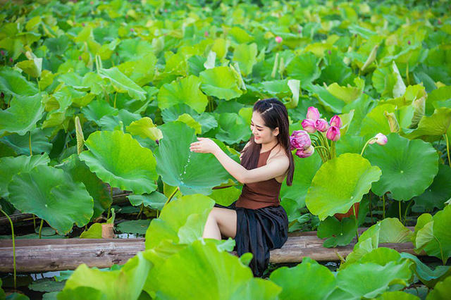 Ngắm thiếu nữ Hải Dương duy&ecirc;n d&aacute;ng b&ecirc;n hồ sen đầu m&ugrave;a