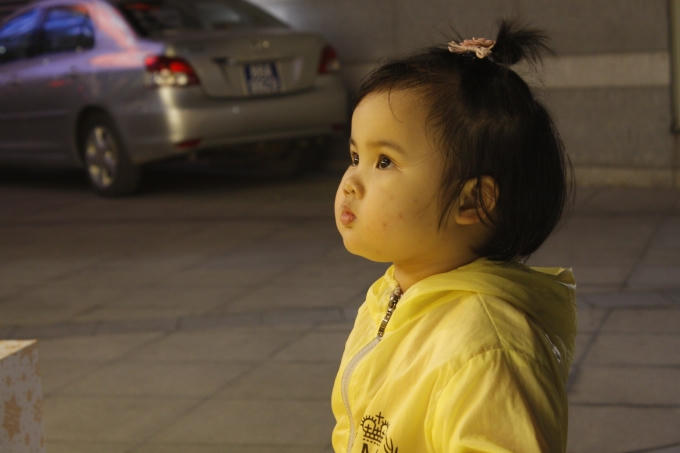 Ngắm nhìn cây thông Noel!