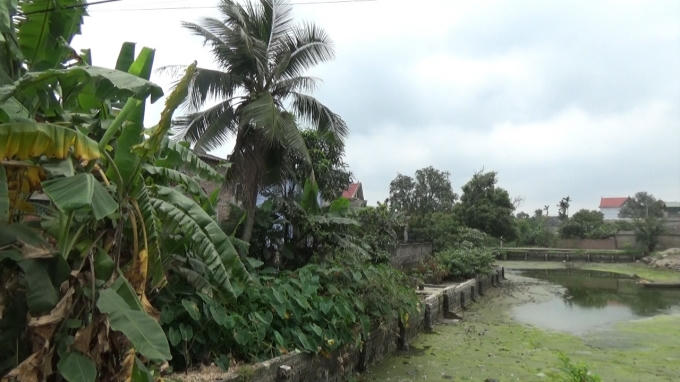 Hải Dương: L&atilde;nh đạo x&atilde; Việt Hưng