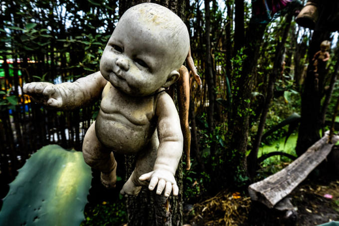 Để bày tỏ lòng thương tiếc đối với người đã khuất, người đàn ông này đã treo con búp bê lên cây. Từ đó, ông bắt đầu thu thập và treo những con búp bê trên khắp hòn đảo để an ủi linh hồn đứa trẻ. Nhưng điều không may đã xảy ra, năm 2001, người ta phát hiện ông Barrera chết đuối ở con kênh tử thần trước đó. Nhiều đồn đoán từ những con búp bê và linh hồn được đưa ra sau sự vụ này khiến nơi đây trở thành điểm đến rùng rợn thách thức du khách. Ảnh: Amyscrypt.