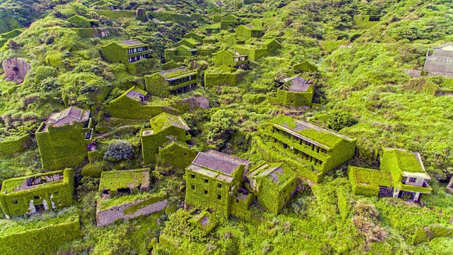 Vì ngôi làng đã bị cây xanh