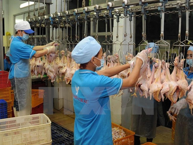 Dây chuyền giết mổ hiện đại tại trung tâm giết mổ Quy nhơn. Ảnh: An Hiếu.
