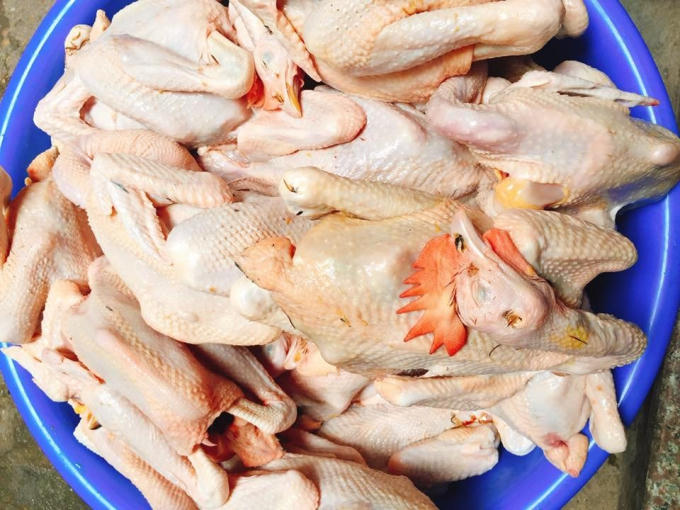 Giá của loại gà ri này chỉ 60.000-70.000 đồng/con.