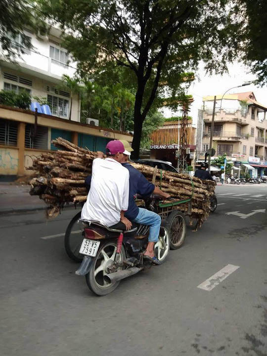 Hai người ngồi xe máy đẩy xe tràm nặng trĩu, cồng kềnh giữa trung tâm TP HCM.