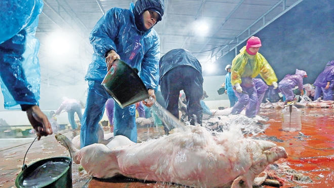 Chất cấm trong thực phẩm mối nguy hại của to&agrave;n bộ cộng đồng người d&acirc;n. (Ảnh minh họa).