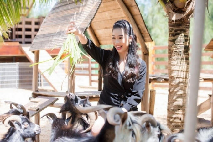 Trải nghiệm thu hút nhất tại FLC Zoo Safari Park