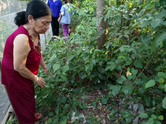 Nơi phát hiện ra cháu bé.