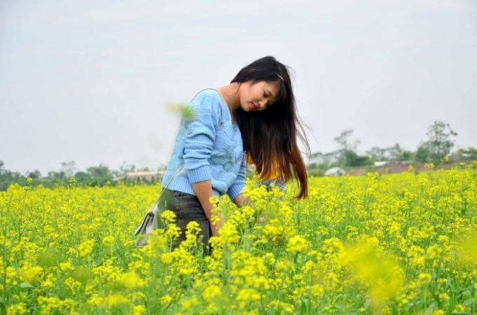 Ảnh: Nguyễn Thơi/Báo Thái Bình.