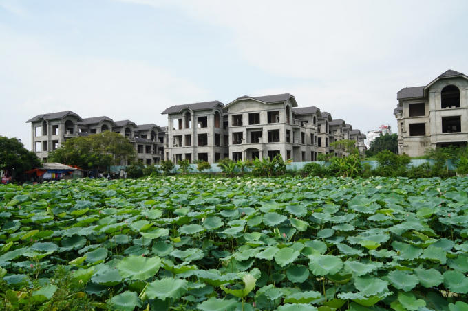 Sở hữu một vị trí đắc địa tại phường Nhật Tân (quận Tây Hồ, TP. Hà Nội) dự án Làng du lịch Đoàn kết tựa như ốc đảo xanh.