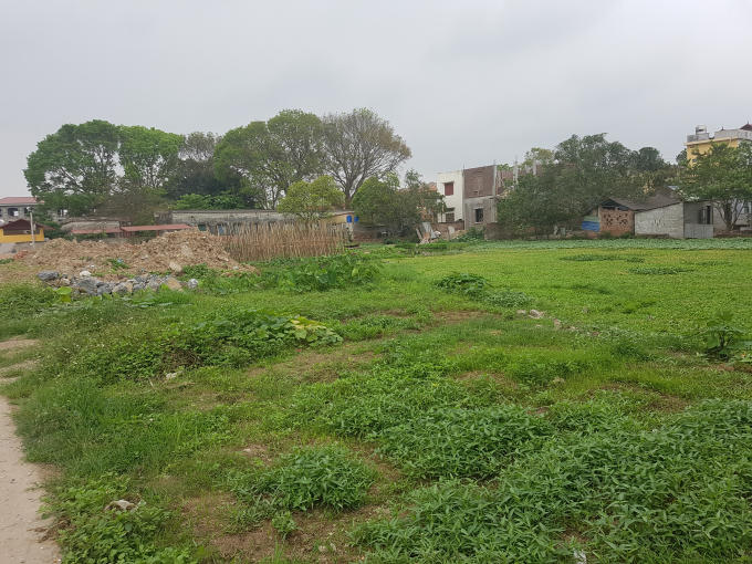 Ao làng Đoài bị Cty TNHH Xây dựng Vận tải Thành Đạt san lấp.