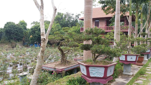 Một góc khác của khu biệt phủ rộng hàng chục ha.