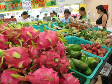 Trái cây hiện nay đang là một trong những mặt hàng nông sản xuất khẩu chủ lực của Việt Nam.