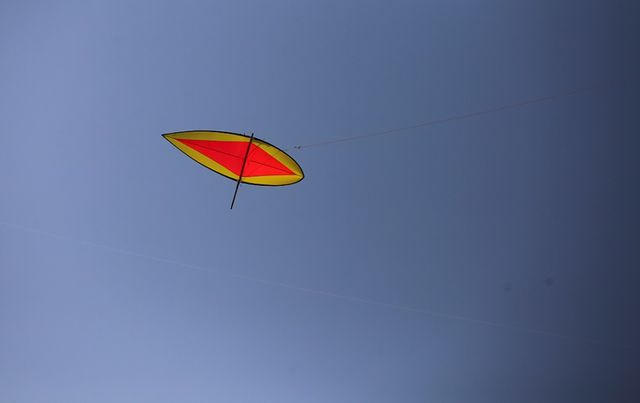 Tiêu chuẩn chấm điểm thi được đánh giá theo mức độ bay cao, độ thăng bằng của cánh diều và cùng với đó là độ hòa âm của tiếng sáo gắn trên lưng mỗi cánh diều.