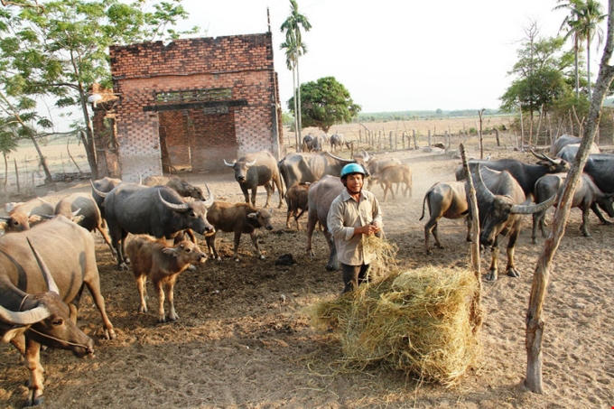 B&iacute; thư Thăng: 'C&aacute;c &ocirc;ng thử chui v&agrave;o nh&agrave; d&acirc;n xem c&oacute; ở được kh&ocirc;ng?'