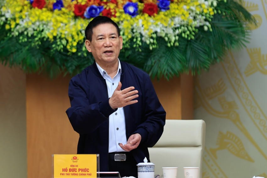 Phó Thủ tướng Hồ Đức Phớc phát biểu tại phiên họp. Ảnh: VGP
