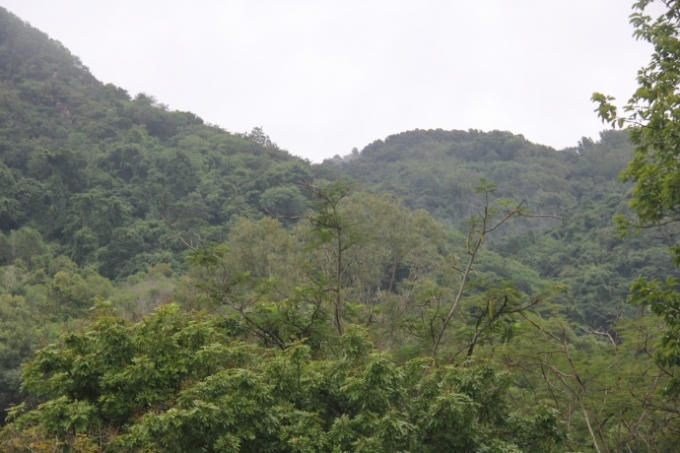 Núi Dinh ở Vũng Tàu.