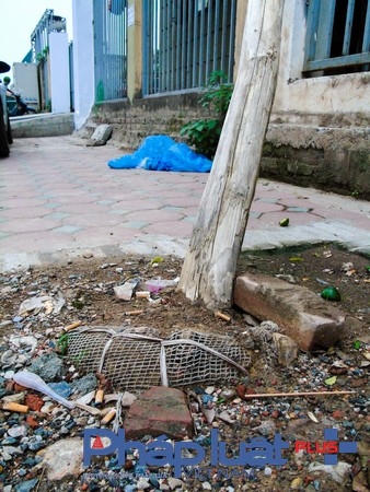 Theo người dân cho biết số cây trên được trồng vào trước tết nguyên đán, nhưng không được chăm sóc nên đã chết khô từ lâu.