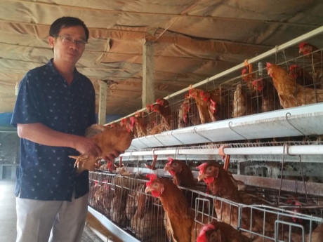Ông Liệu bên mô hình nuôi gà cho thu nhập 2 triệu đồng/ngày.