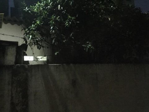 mặt tiền phụ 14,94m