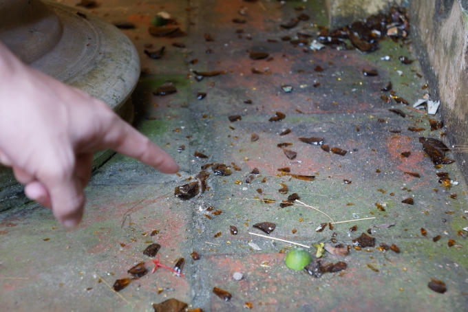 Tại những chỗ xuất hiện đám cháy có nhiều mảng vỡ thủy tinh. Ảnh: Nguyệt Chi