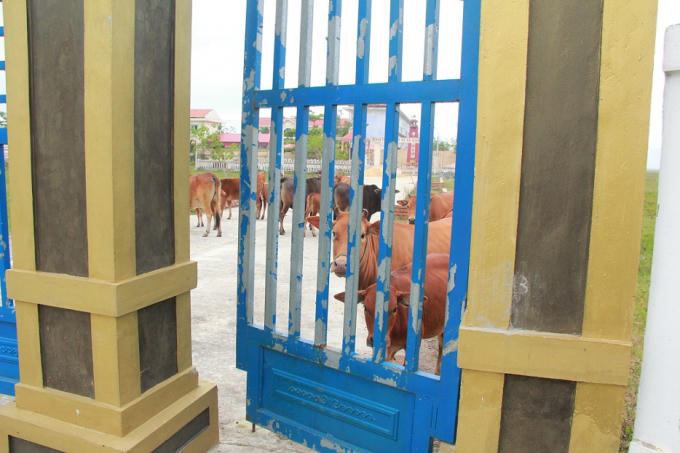 Cửa phụ vào nghĩa trang bị thả lỏng, có thể tự do ra vào.