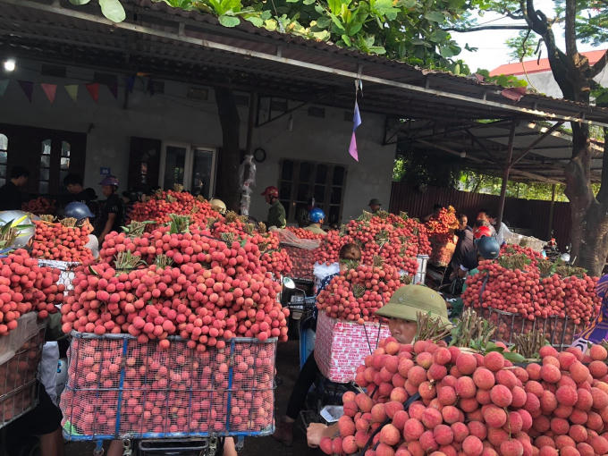 vai-thieu-08344349
