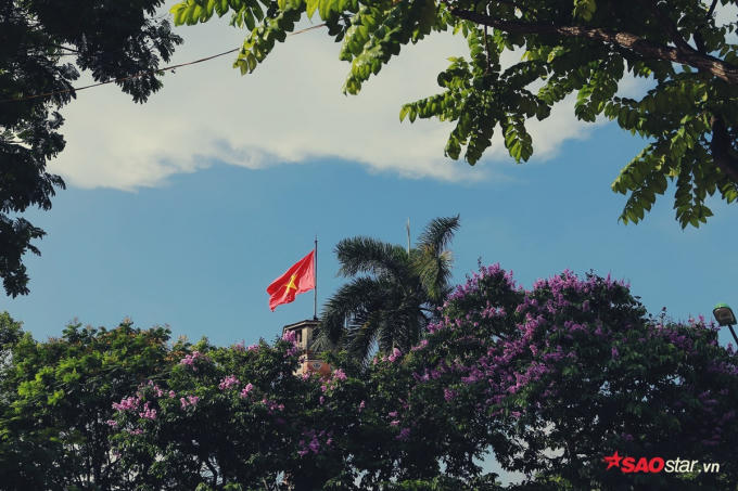 Những khoảng trời xanh ngắt xen lẫn màu tím biếc.