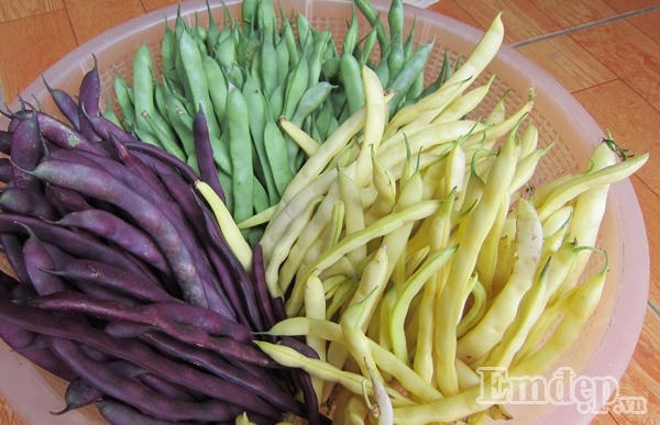 Ngỡ ngàng với vườn rau quả và bầy gà trên “nóc nhà” của bà mẹ Hà Nội