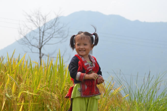 Trẻ em cũng đi cùng người lớn ra ruộng bắt cá.