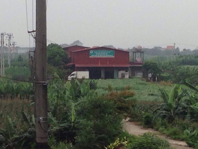 Lò giết mổ trên đất nông nghiệp gây ôm nhiễm môi trường nằng nề.