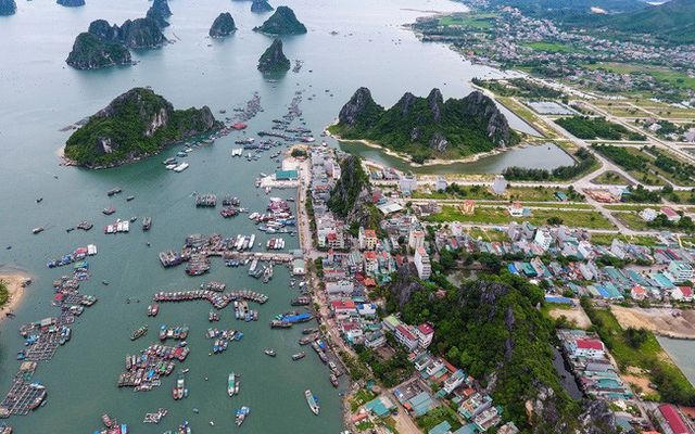 Phó Chủ tịch UBND tỉnh sẽ kiêm nhiệm Trưởng Ban quản lý Khu kinh tế Vân Đồn