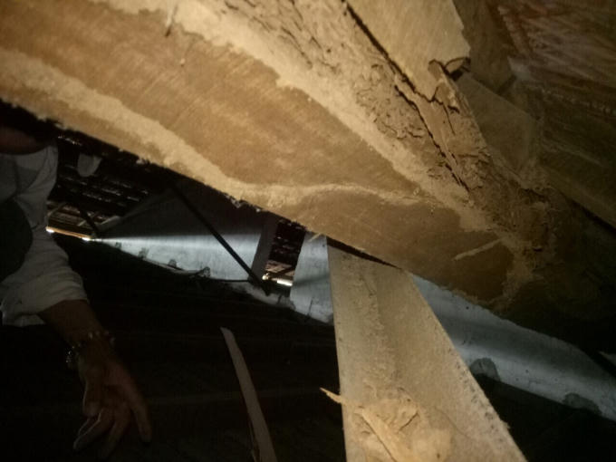 Một số đòn tay rui, mèn đã hư hỏng.