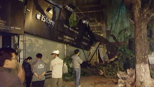 Rất nhiều người dân hiếu xung quanh đã bị đánh thức bởi cây đổ.