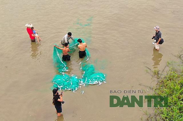 Những người d&ugrave;ng nơm, v&oacute; sẽ được ưu ti&ecirc;n xuống đầm đ&aacute;nh c&aacute; trước, sau đ&oacute; mới đến lượt người d&ugrave;ng lưới.