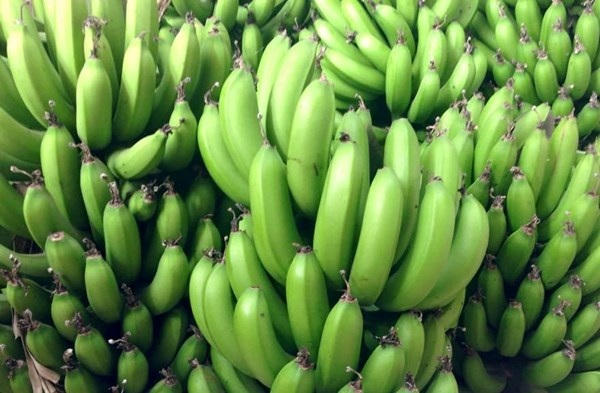Muốn chuối được tươi lâu...