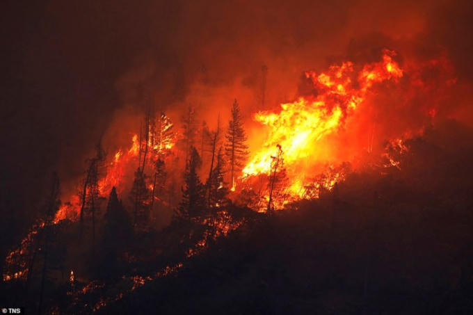 Thảm họa cháy rừng  bang California, Mỹ hôm 11/11. Ảnh: TNS