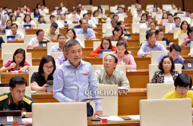 Đại biểu Quốc hội đề nghị Hà Nội nghiên cứu dừng chặt 2.000 cây xanh