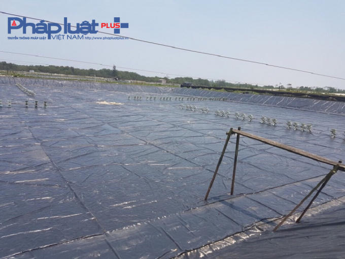 Các hồ nuôi tôm tại xã Điền Hương chưa thể hoạt động, khi các chủ hồ tôm vẫn chờ tiền hỗ trợ từ UBND huyện.