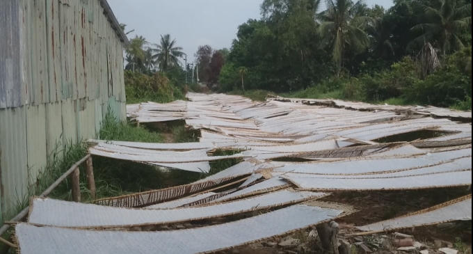 Hủ tiếu được phơi sát mặt đất, không được che chắn rất mất vệ sinh