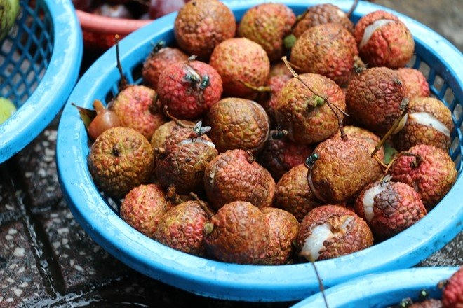 Rổ vải tầm nửa kg này giá chỉ 5.000 đồng, ruồi nhặng bu đầy xung quanh nhưng chủ hàng vẫn bày bán.