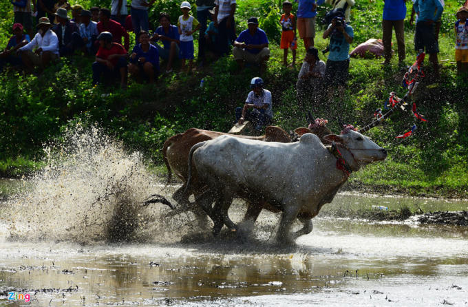 Trong buổi thi đấu có nhiều pha gây hú vía cho khán giả khi các cặp đua lần lượt chạy về phía hai bên đường đua.
